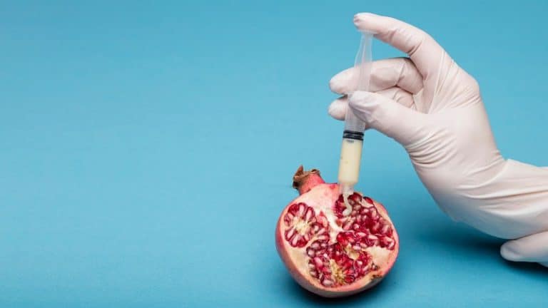 Representação de uma reprodução medicamente assistida, saiba sobre a azoospermia