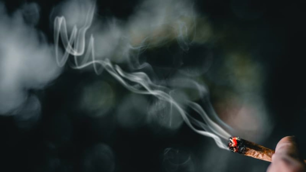 Drogas e impotência masculina: mitos e verdades - Blog Omens