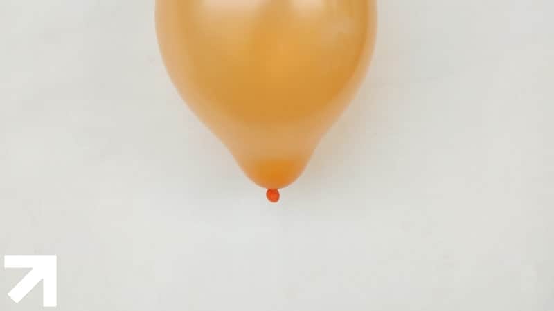 balão ou bexiga: a cistite é uma inflamação da parede da bexiga