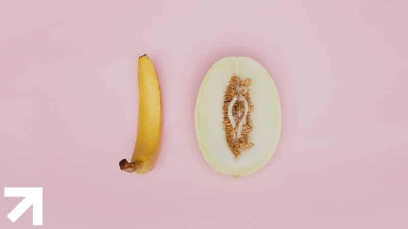 banana ao lado de um melão cortado ao meio comparando tamanhos de pênis e da vulva