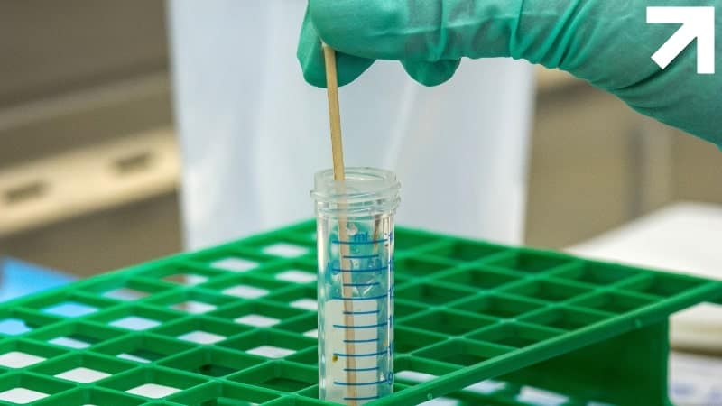 laboratório analisando amostra de urina