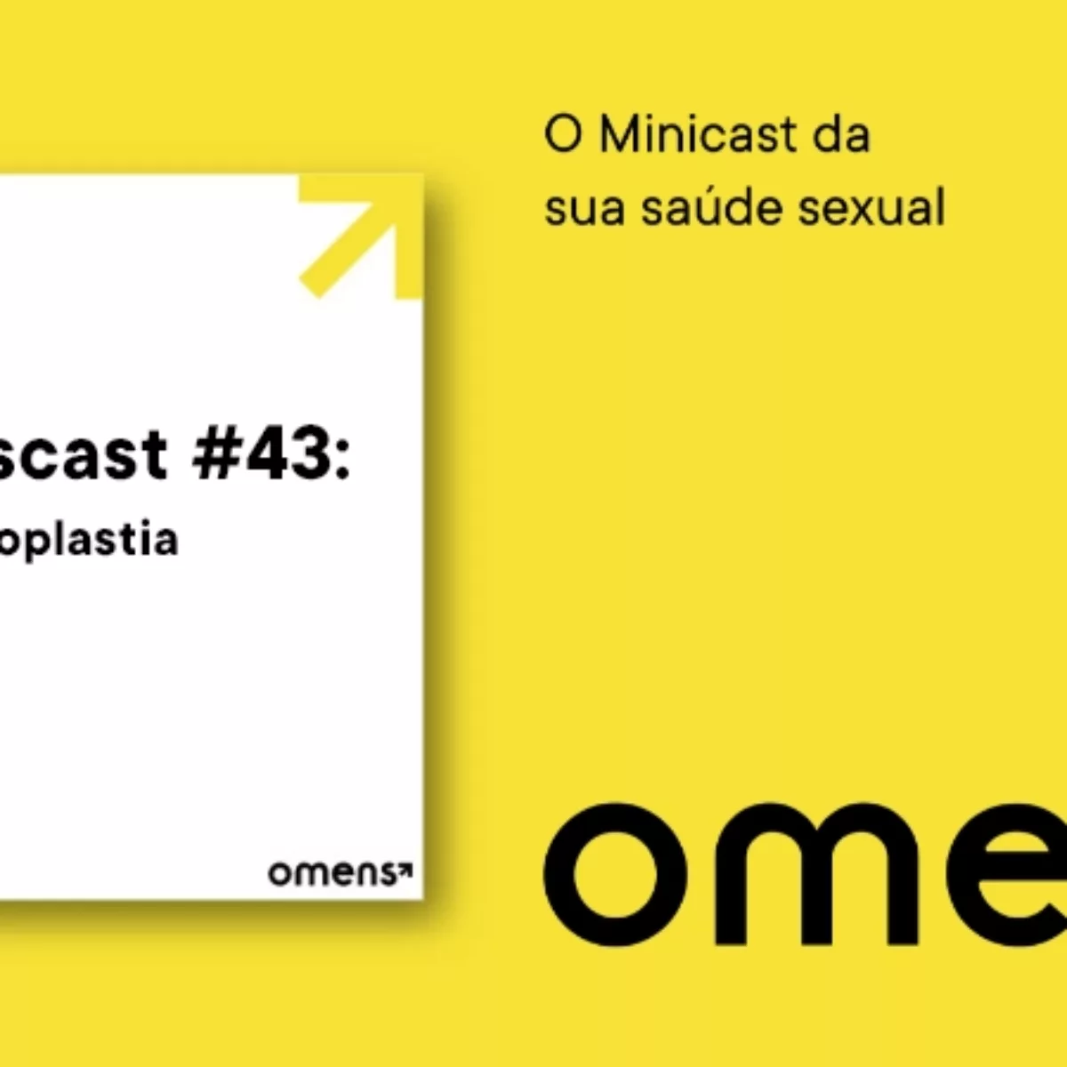 Faloplastia faz diferença? Como fica antes e depois? Omenscast #43 imagem