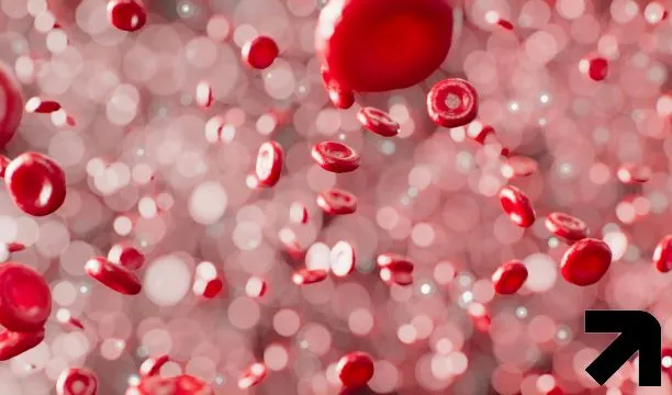 exemplo de células sanguíneas