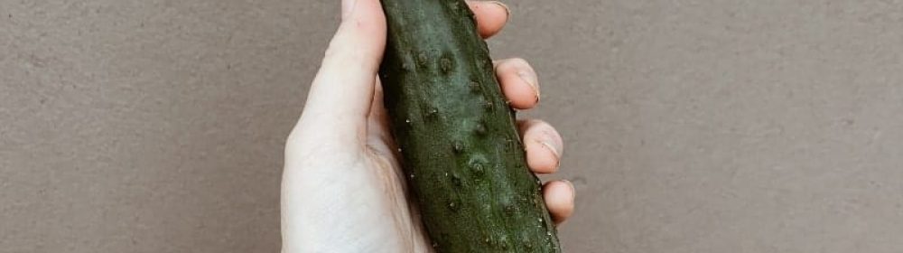 pepino com bolinhas na casca, mas tudo depende do que você quer dizer com espinhas no pênis
